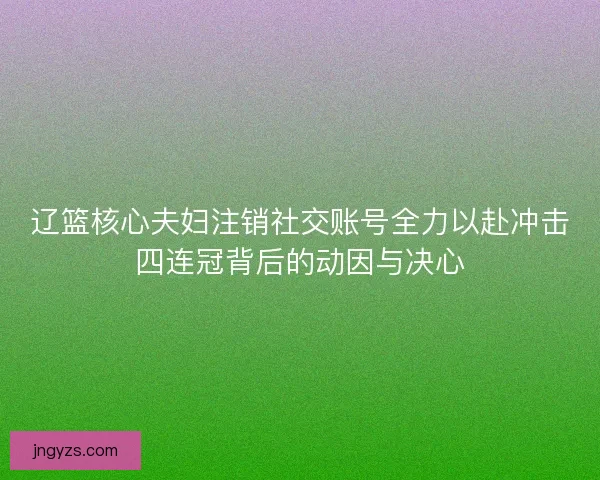 辽篮核心夫妇注销社交账号全力以赴冲击四连冠背后的动因与决心