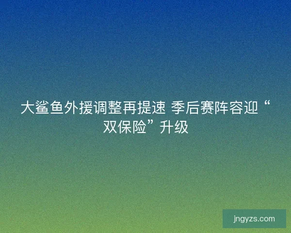 大鲨鱼外援调整再提速 季后赛阵容迎 “双保险” 升级