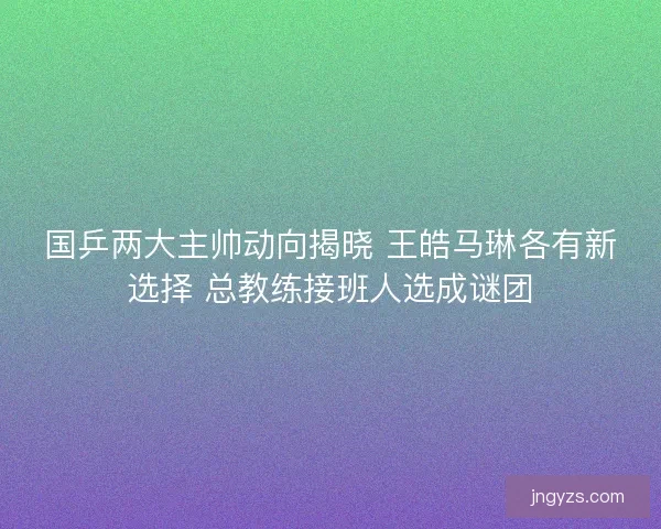 国乒两大主帅动向揭晓 王皓马琳各有新选择 总教练接班人选成谜团